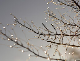 年末年始休業のお知らせ