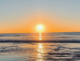 新年のご挨拶　FEEL DESIGN フィールデザイン